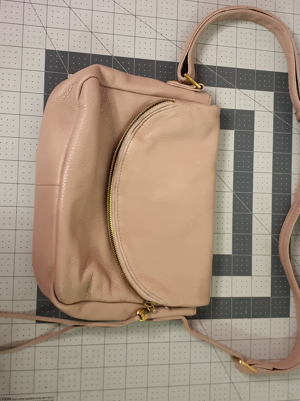 HOBO Blush Pink Leather Crossbody with Gold Hardware